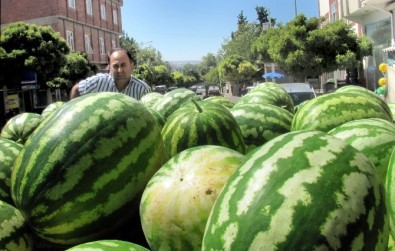 Erken Olgunlaşan Karpuz, Çiftçiye İkinci Bayram Sevincini Yaşattı