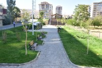 TANDOĞAN - Gürkan, Şelale Parkta İncelemelerde Bulundu