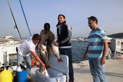 Kaçak Avcılığa Suçüstü