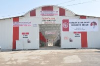 KALABA - Keçiören'de 13 Noktada Kurbanlık Kesimi Yapılabilecek