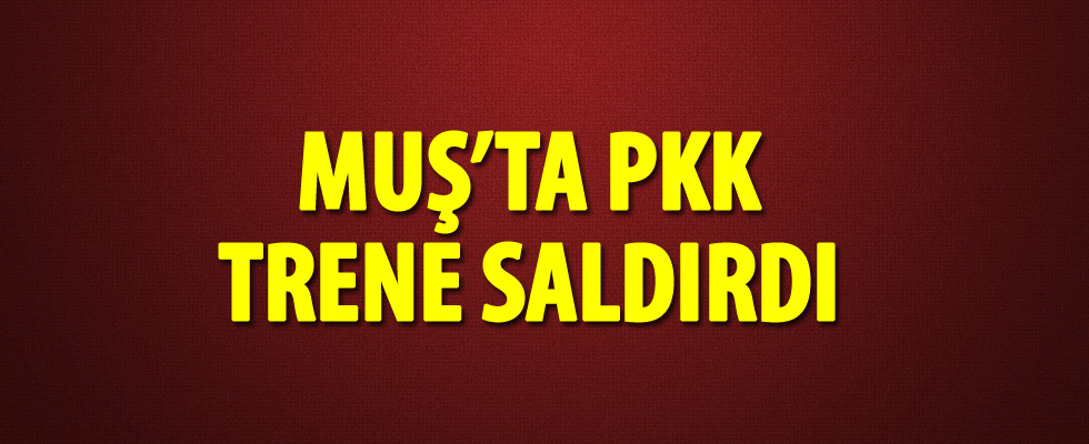Muş'ta PKK trene saldırdı