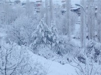Adana'nın Kuzey İlçesi Kar Esaretinde