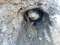 Tunceli'de 200 Kilogramlık EYP İmha Edildi