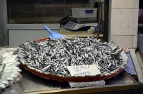 GıRGıR - Balıkçılar Tezgah Kapattı Açıklaması Hamsi Rekora Koşuyor