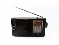 NORVEÇ - Norveç, FM radyo yayınına son veren ilk ülke olacak