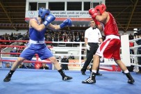 Şampiyonlar Yalova'da Belli Olacak