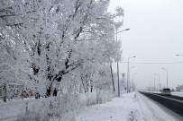 Ardahan Eksi 25'İ Gördü