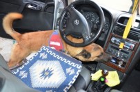 Denizli'de Uyuşturucu Ticaretine 2 Tutuklama