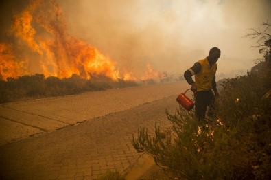 Güney Afrika'da Ümit Burnu'ndaki Yangın Söndürülemiyor