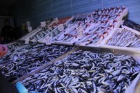 LODOS - Soğuk Havalardan En Çok Balıkçılar Dertli