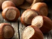 Türkiye fındık ihracatında rekor kırdı