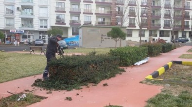 Alaşehir Belediyesi Kışlık Bakımlara Devam Ediyor