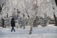 SOĞUK HAVA DALGASI - Ardahan donuyor: Eksi 32