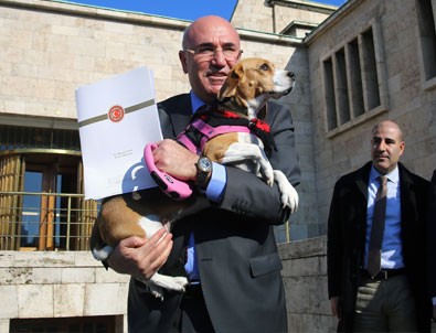 CHP'li vekil Meclis'e köpeğiyle geldi