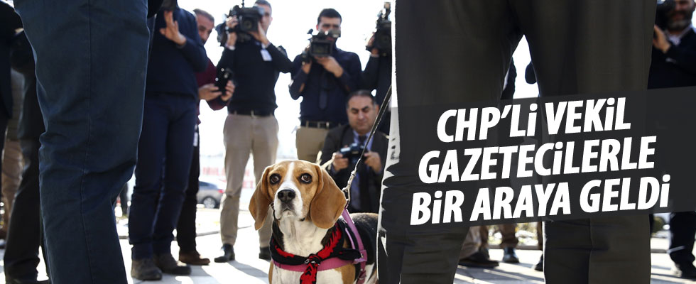 CHP'li vekil Meclis'e köpeğiyle geldi