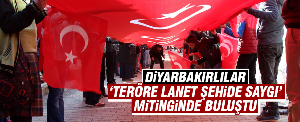 Diyarbakır'da 'Teröre Lanet Şehide Saygı' mitingi