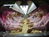 Düzce'den 2016 Yılında 25 Bin 678 Ton İç Fındık İhraç Edildi