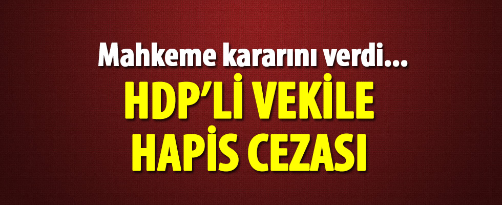 HDP'li Nursel Aydoğan'a 4 yıl 8 ay hapis!