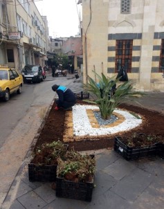 Kilis'te Park Refüjlere Çiçek Ekimine Başlandı