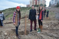 AHMED-I HANI - Körfez'de Ağaçlandırma Çalışmaları Sürüyor