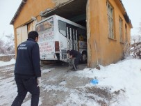 SONER KIRLI - Malazgirt'te Sokak Köpekleri Kısırlaştırılıyor