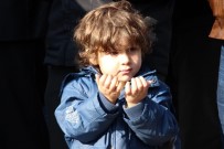 İSMAIL ÇORUMLUOĞLU - Manisalılar Halep'e El Uzattı