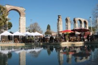 EFES - Selçuk, Deve Güreşlerinin 'Kırkpınar'ı  İçin Hazır