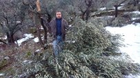 AFET BÖLGESİ - Aydın'da Kar Felaketi