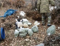 Diyarbakır'da narkoterör operasyonu!