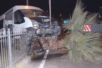 PALMİYE AĞACI - Alkollü Sürücü Aracıyla Birlikte Ağaca Çıktı Açıklaması 1 Yaralı