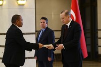NAMIBYA - Cumhurbaşkanı Erdoğan Namibya Cumhuriyeti Büyükelçisini Kabul Etti