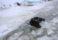 KAR ÖRTÜSÜ - Donan Gölde Kırılan Buzdan Sulara Düşen İnek Kurtarıldı