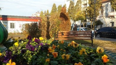Gazeteci Barış Selçuk Parkı Çiçeklerle Renklendi