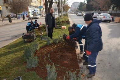 Kilis Belediyesi Tarafın 2017 Park Bahçe Yılı İlan Edildi