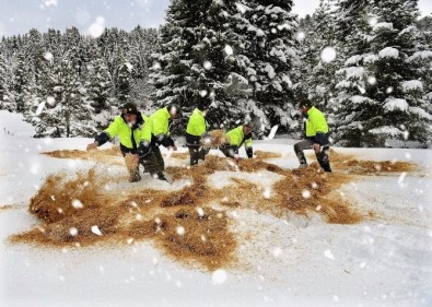 Orman Ve Su İşleri Bakanlığı'ndan Yaban Hayvanları İçin Yiyecek Takviyesi