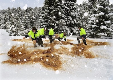 Yaban Hayvanları İçin 180 Ton Yem Bırakıldı