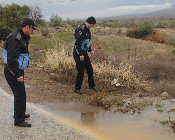 Manisa'da görüntülenen yılanın uzunluğu şaşırttı