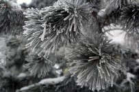 KARAOĞLAN - Ağrı'da Kartpostallık Manzaralar