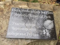 BOTANİK BAHÇESİ - Düzce Üniversitesi Adına Botanik Hatıra Parkı Oluşturuldu