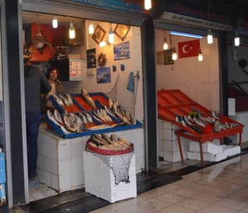 Karadeniz'de Bugünlerde Balık Avı Azalınca Vatandaş Kültür Balığına Yöneldi