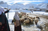 KANDILLI - Yüksekova'da Aylardır Kapalı Olan Köy Yolu Açıldı