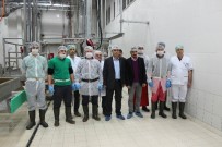 DEVLET MEMURU - AB Standartlarında Kurulan Mezbaha Basına Tanıtıldı