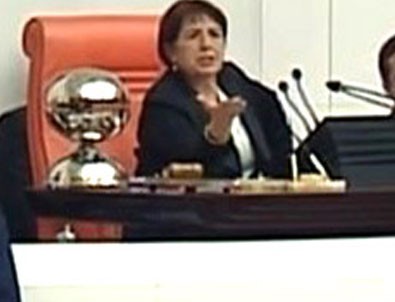 Bahçekapılı'dan CHP'li vekile tepki: Sanki sokakta kavga ediyor