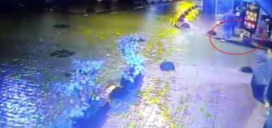 Elektrik kaçağı köpeği öldürdü