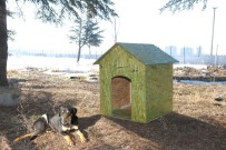 ISPARTA BELEDİYESİ - SDÜ Kampüsündeki Sokak Hayvanları İçin Kulübe