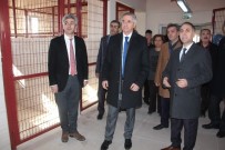 HAYVAN SEVGİSİ - Türkiye'nin En Büyük Hayvan Hastanesi Ve Oteli Tamamlandı