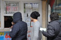 MILLI PIYANGO - 'Amorti' Kuyruğu