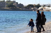 BITEZ - Bodrum'da Ocak Ayında Baharı Yaşadılar