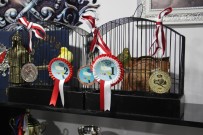 Bu Kanaryalar 'Madalyalı'