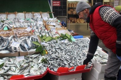 Kar Yağışı Balık Fiyatını Arttırdı